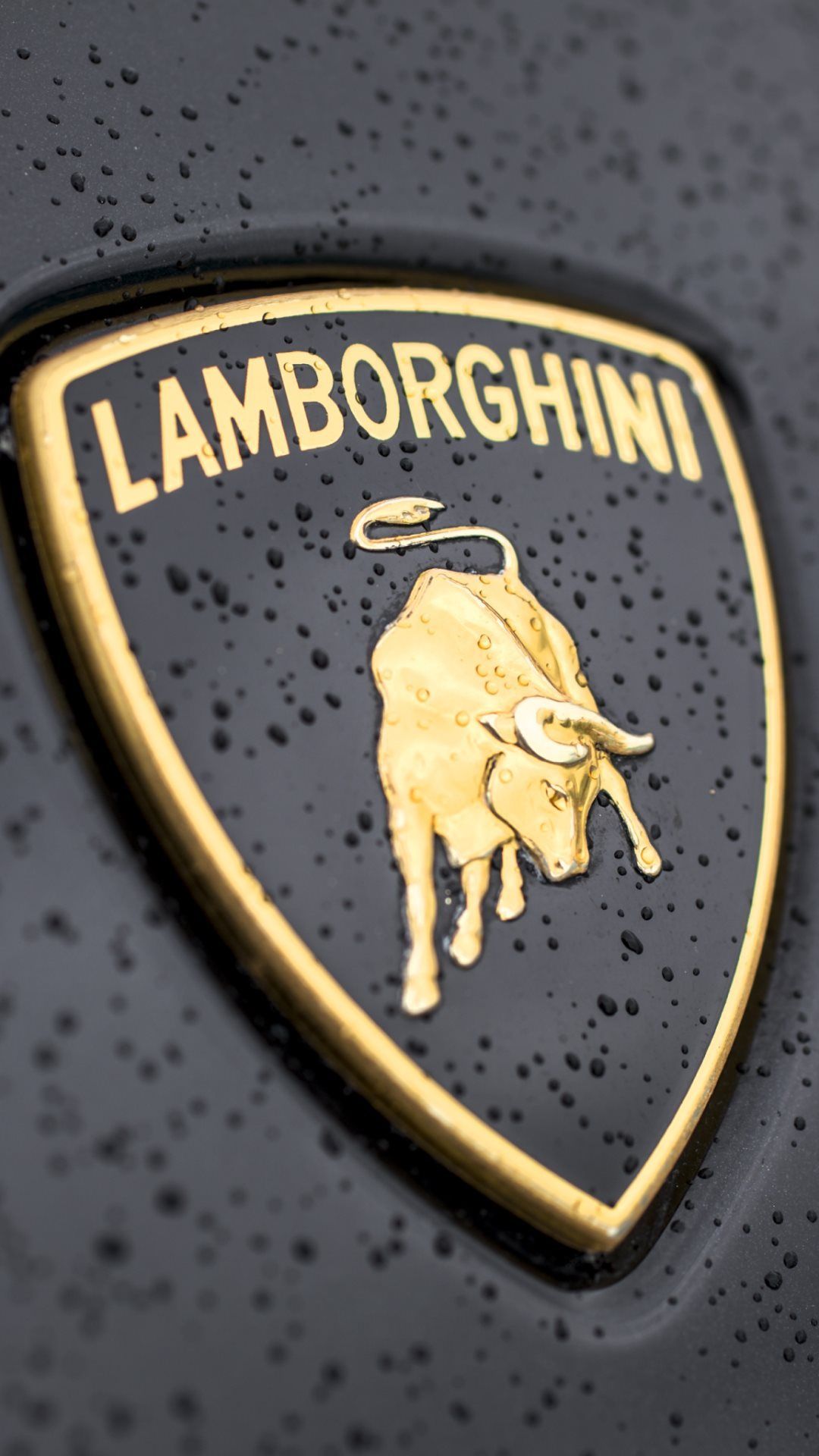 1080x1920  Логотип Lamborghini | Логотип Lamborghini, Lamborghini, автомобили Lamborghini