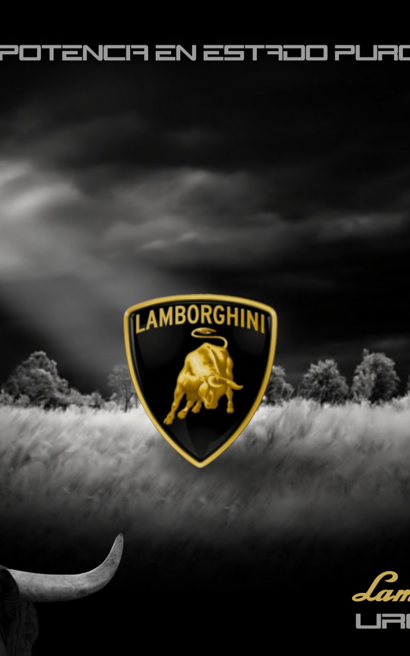 800x1280  Логотип Lamborghini, Cool Lamborghini Logo HD Телефон Обои | Pxfuel