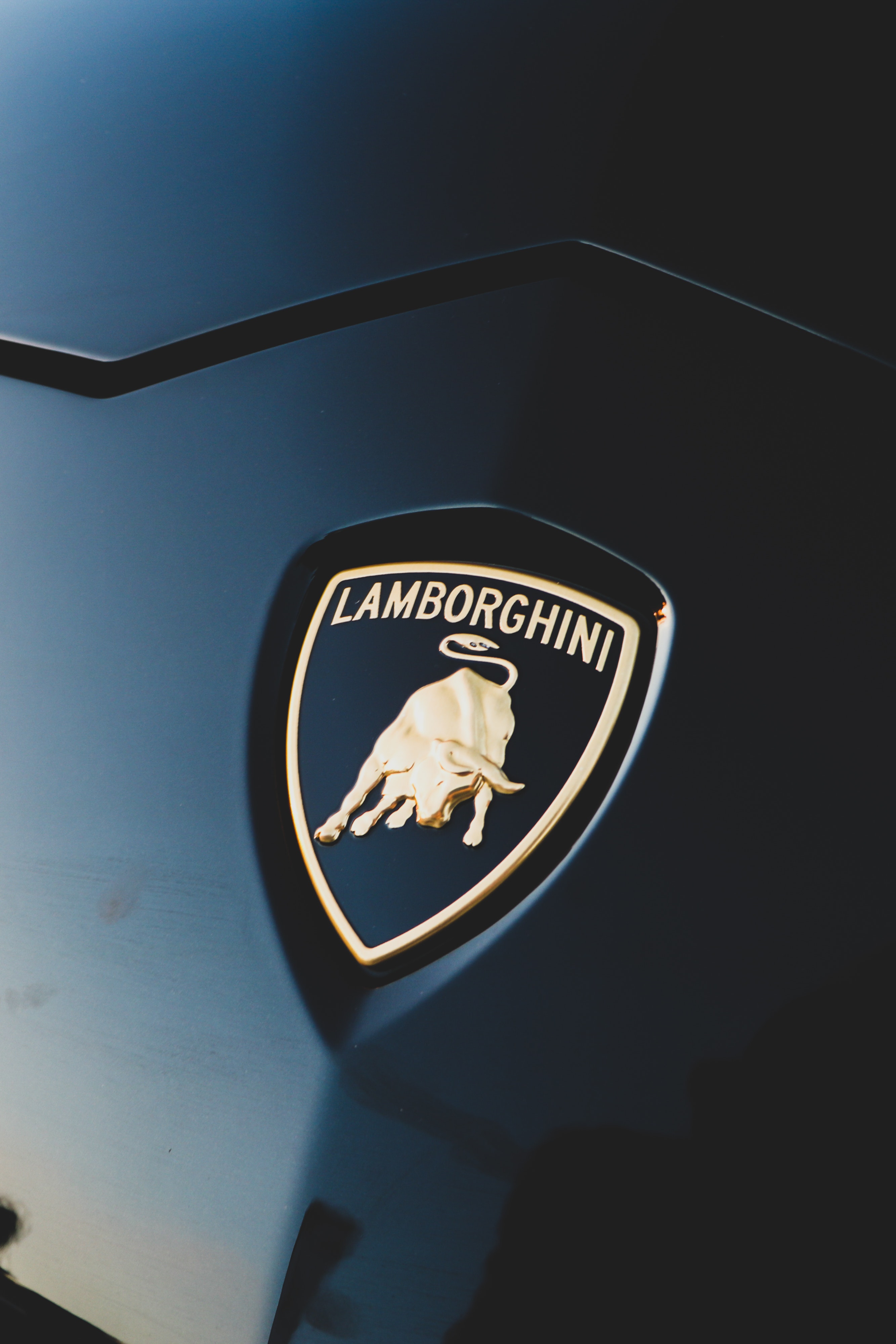 2667x4000  Lamborghini Logo 3D и HD обои для рабочего стола и мобильных устройств Retina iPad - HD обои - обои .NET