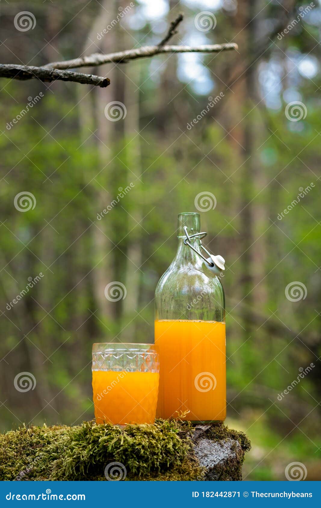 1067x1690  Топ 25 прохладный сок WRLD обои [HQ]