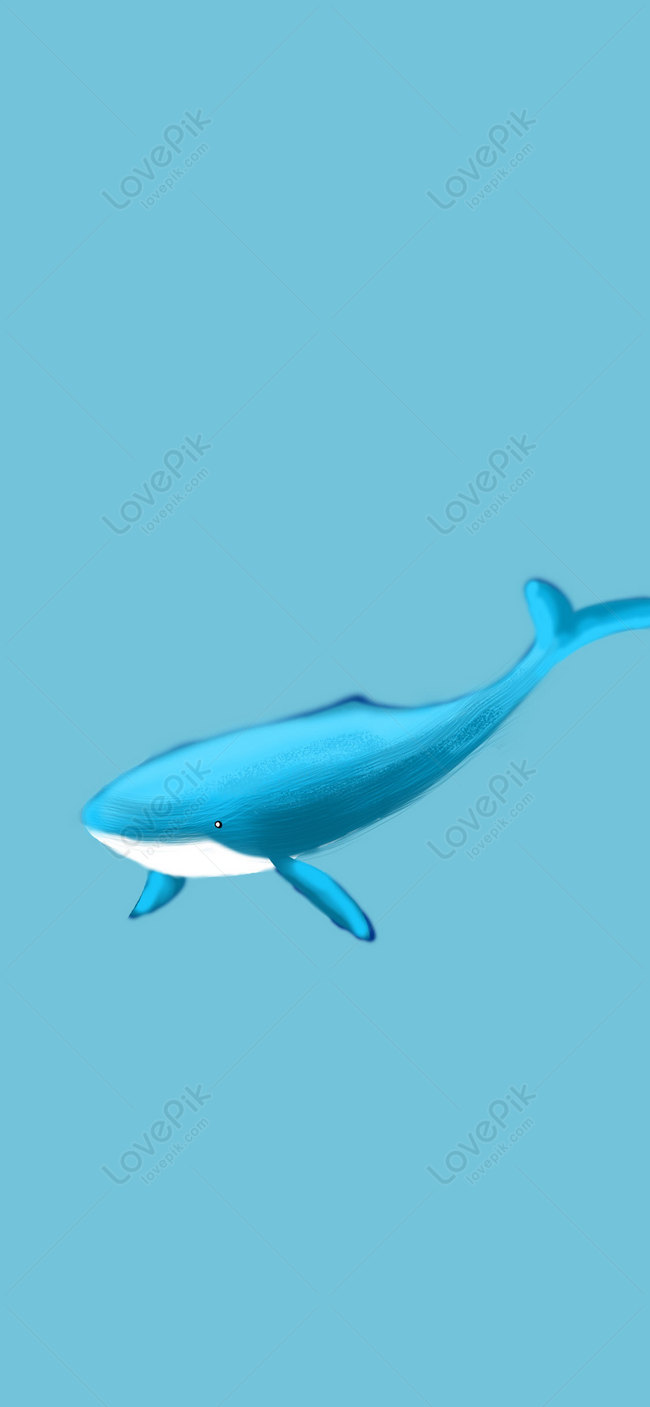 650x1407  Blue Whale Complece обои изображения бесплатно скачать на LovePik | 400538317