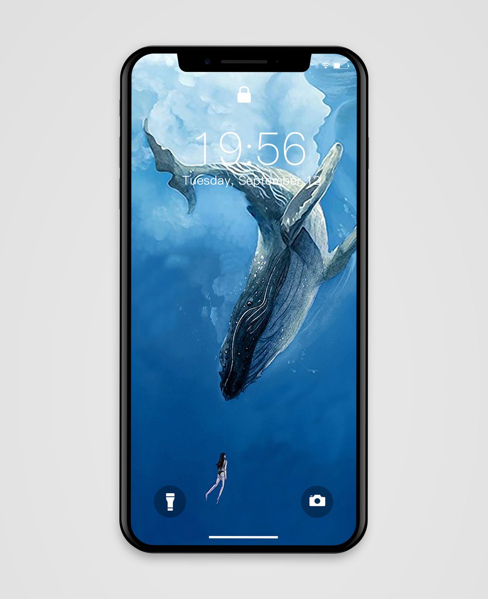 977x1200  Pikocean в Twitter: \ "Как насчет того, чтобы поместить синий кит на экран вашего телефона? синий кит ...