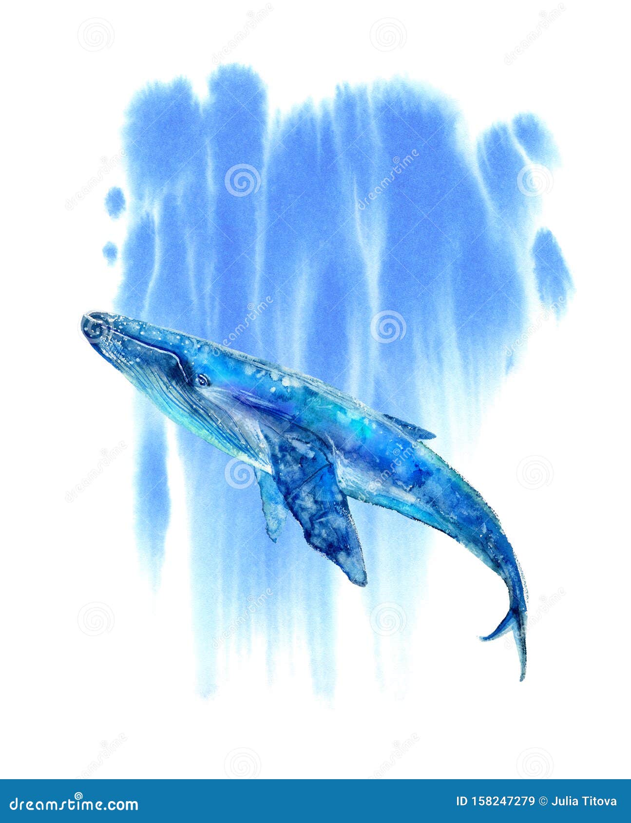 1295x1690  Большой голубой кит и вода. Watercolor Ручная нарисованная иллюстрация Иллюстрация - иллюстрация пены, фон: 158247279
