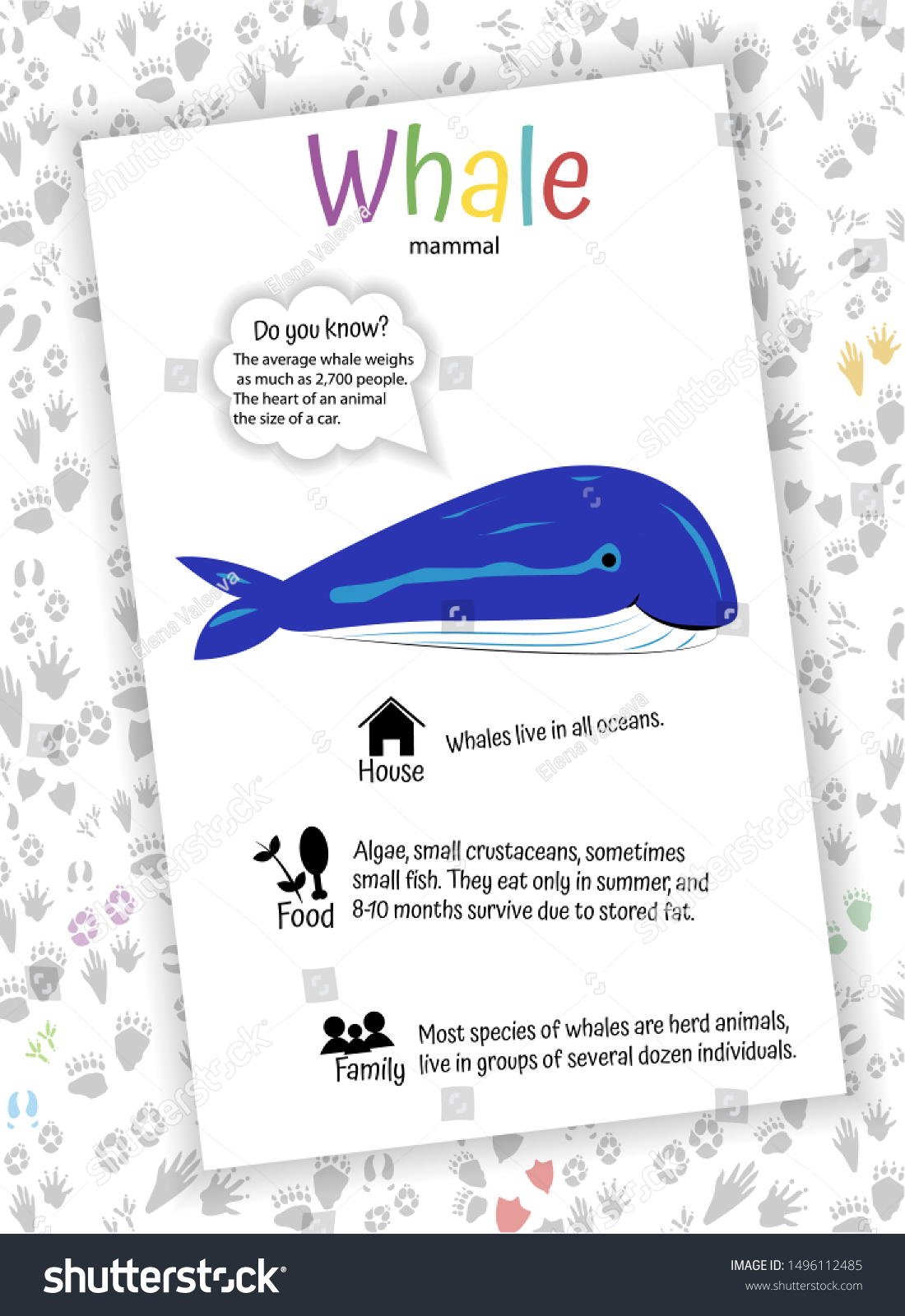 1100x1600  Blue Whale на белом фоне пищевой вектор (без роялти) 1496112485 | Shutterstock