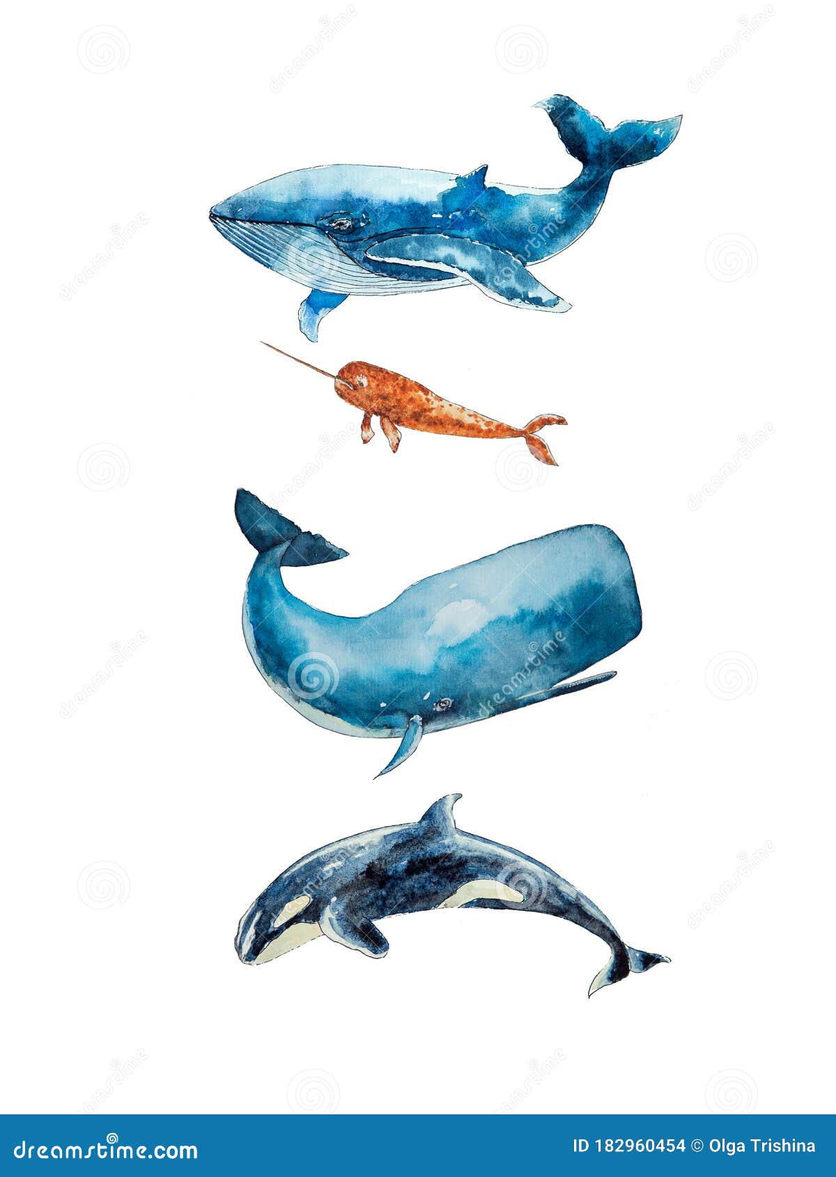 1200x1690  Синий кит на белом фоне.