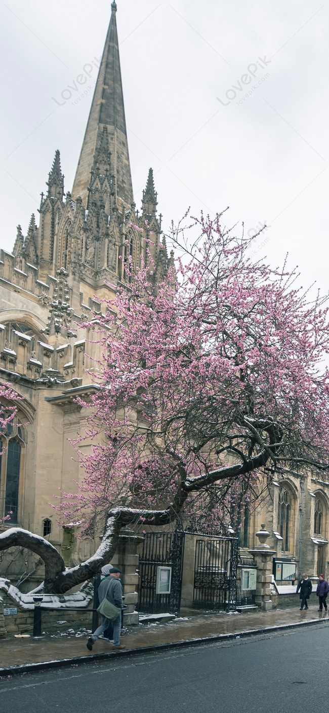 650x1407  Рэдклифф камера - Википедия