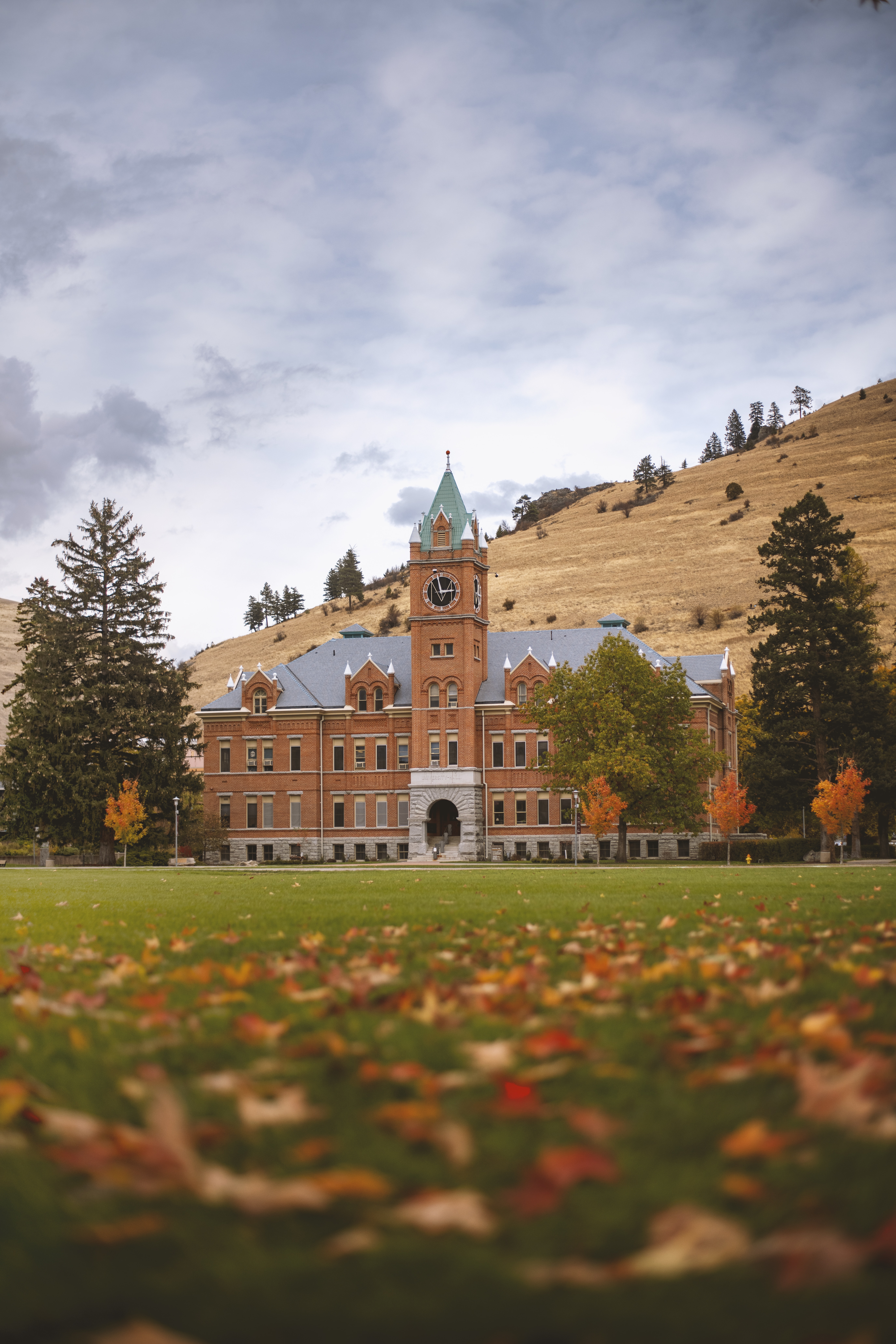 5504x8256  Скачать обои в Гарвардском университете insignia | Wallpapers.com