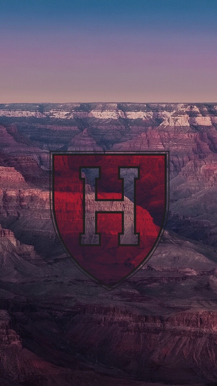 719x1280  Гарвардский университет HD обои | Pxfuel