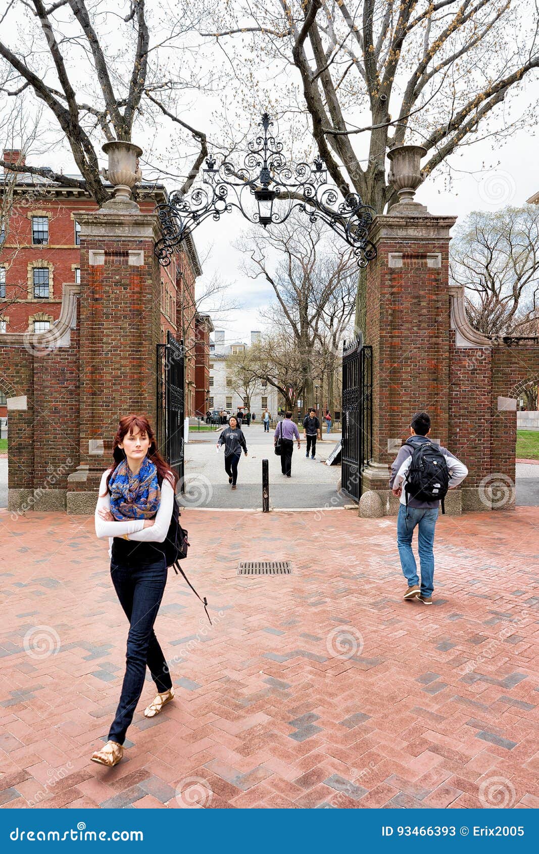 1067x1690  Гарвардский университет обои