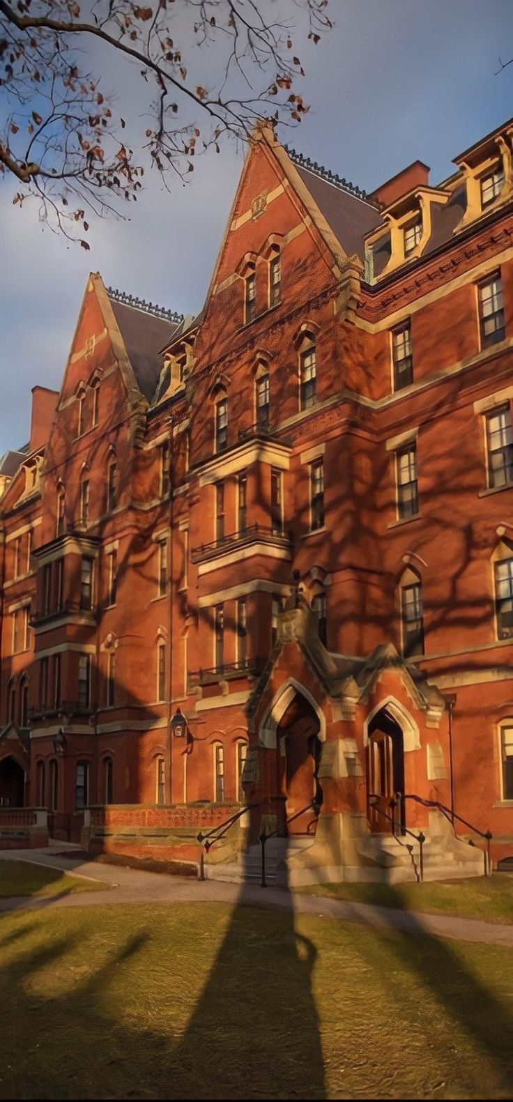 736x1581  5 бесплатных курсов для индийских студентов от Гарварда | Времена Индии