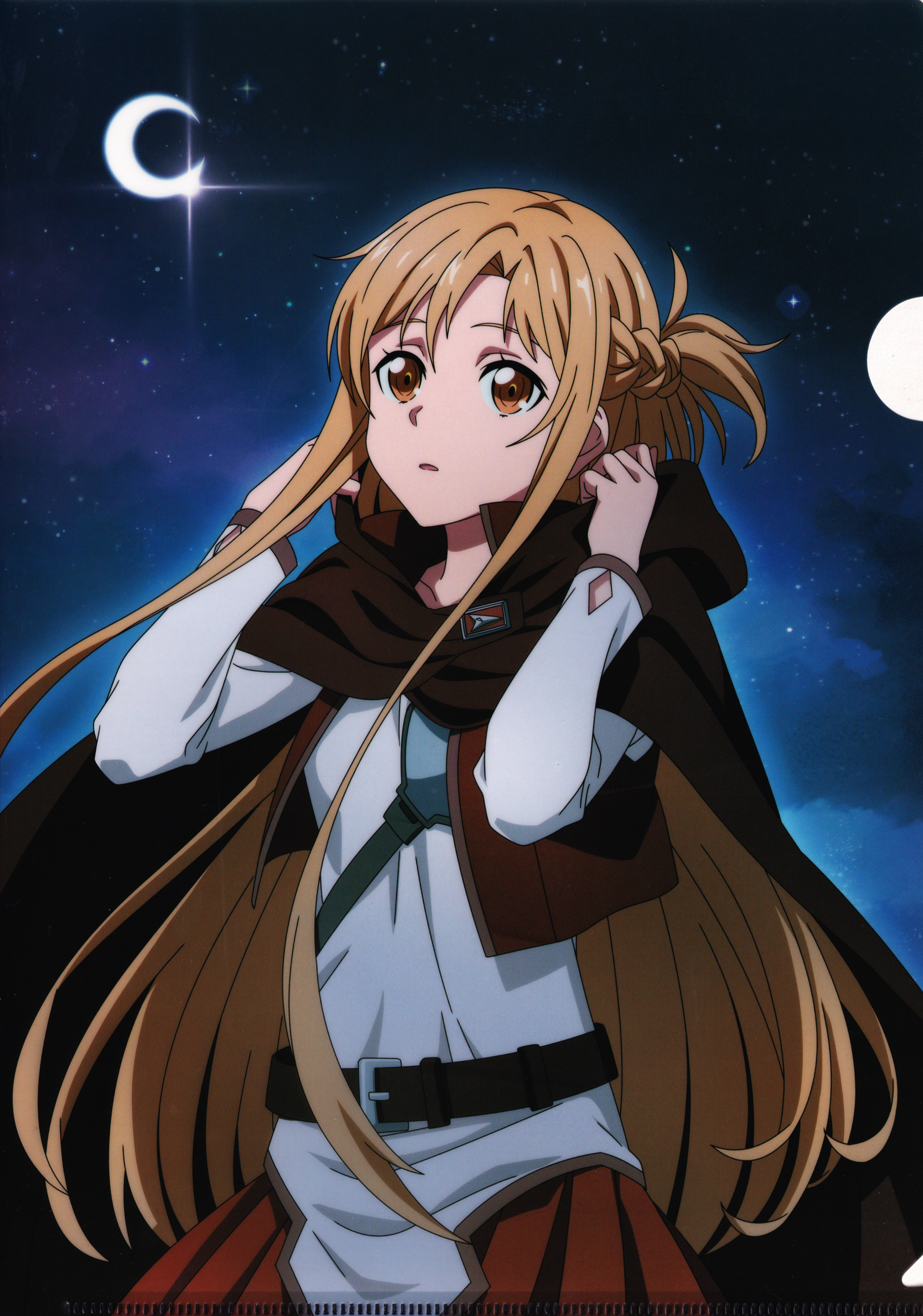 5098x7268  Sword Art Online, мобильные обои - Zerochan Anime Image Board Mobile