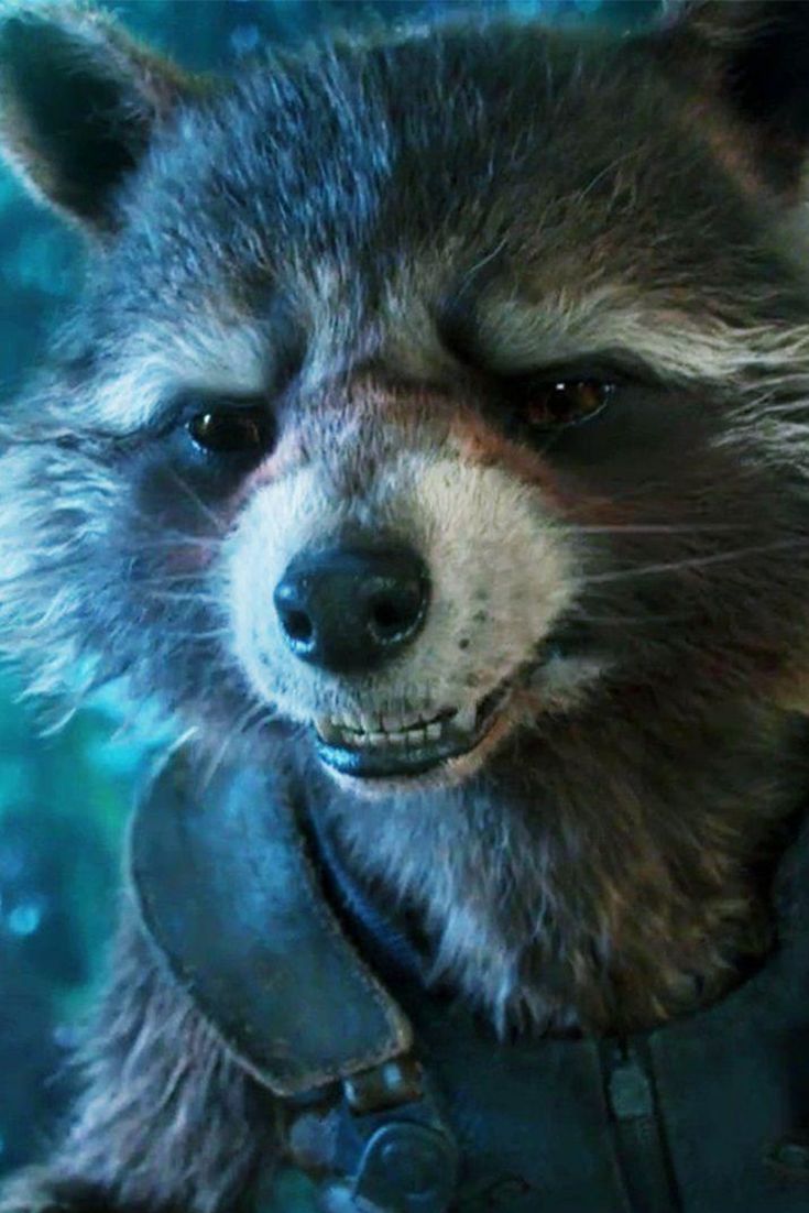 735x1102  Ракетный енот, телефонные обои, Marvel | Ракетный енот, Marvel, енот