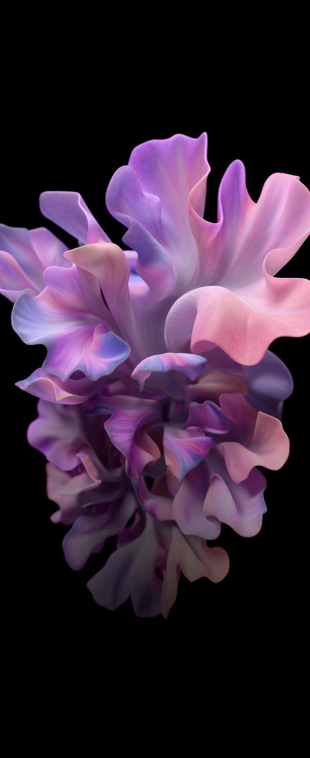 640x1562  Samsung Galaxy Z Flip Wallpapers - Top Free Samsung Galaxy Z Flip фоны - Wallpaperaccess