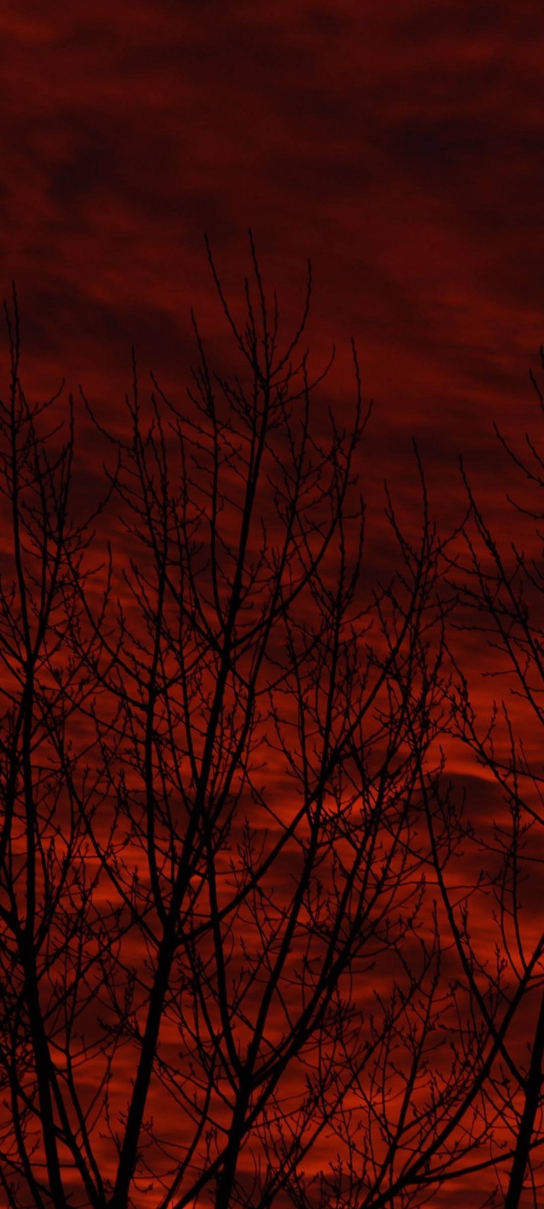 1080x2400  Красное небо темно -красный фон HD обои | Pxfuel