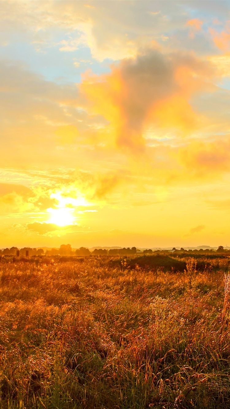 750x1334  Желтые небо обои - пещера обоев