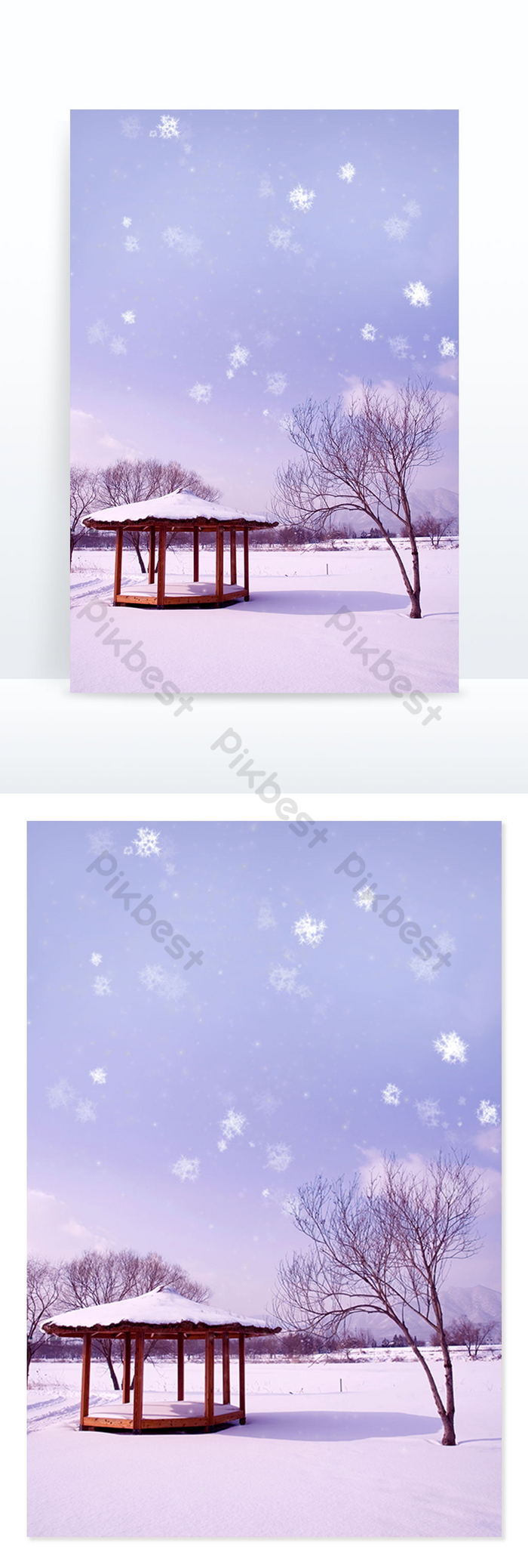 700x2076  Синтетическая модель туловища человека с органами, выделенными на белом фоне, изображение, изображение и изображение без роялти. Изображение 65868003.