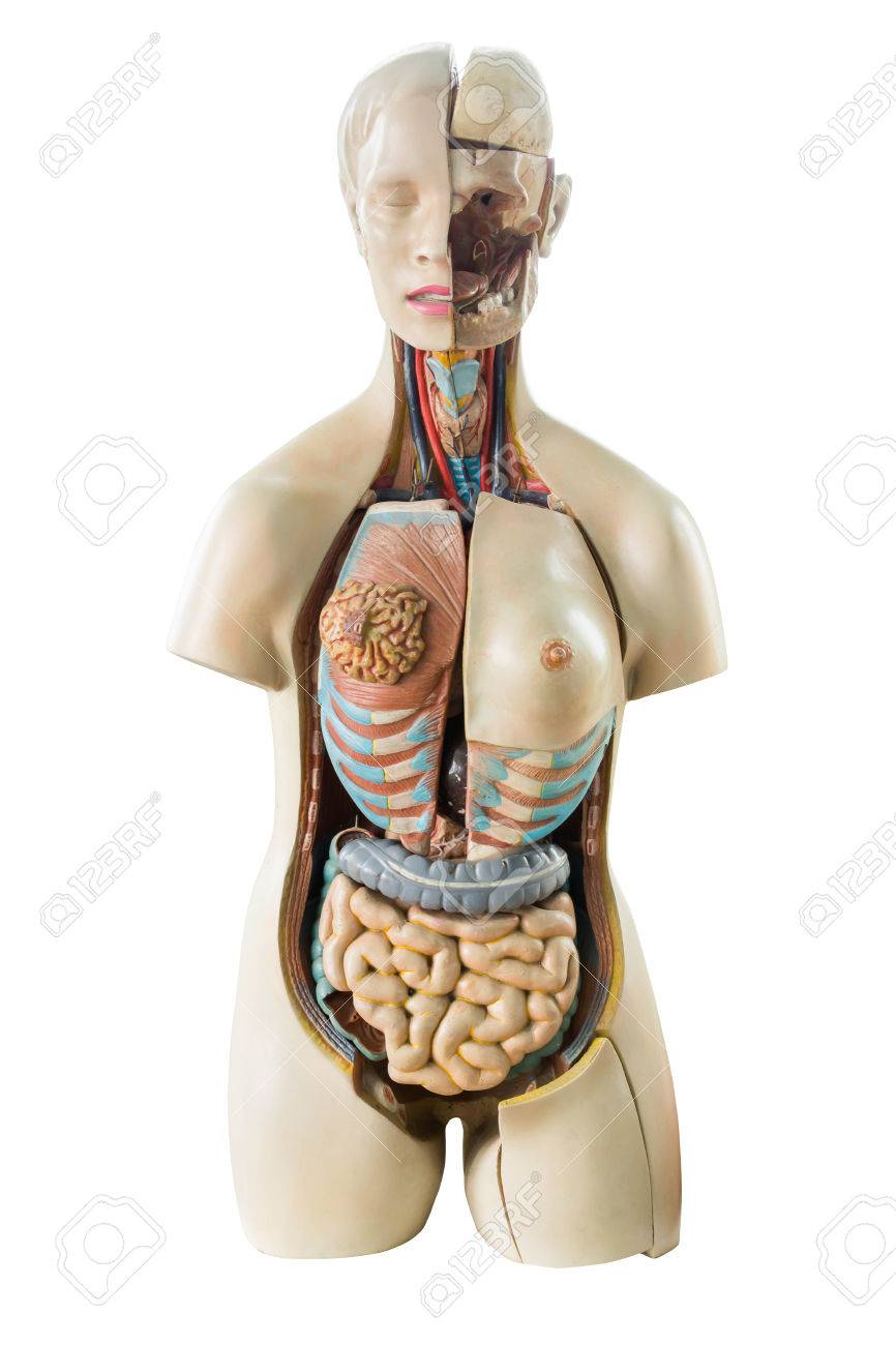 866x1300  Премиум фото | Настоящая вереска серая вязаная ткань, изготовленная из синтетических волокон текстурированной фона.