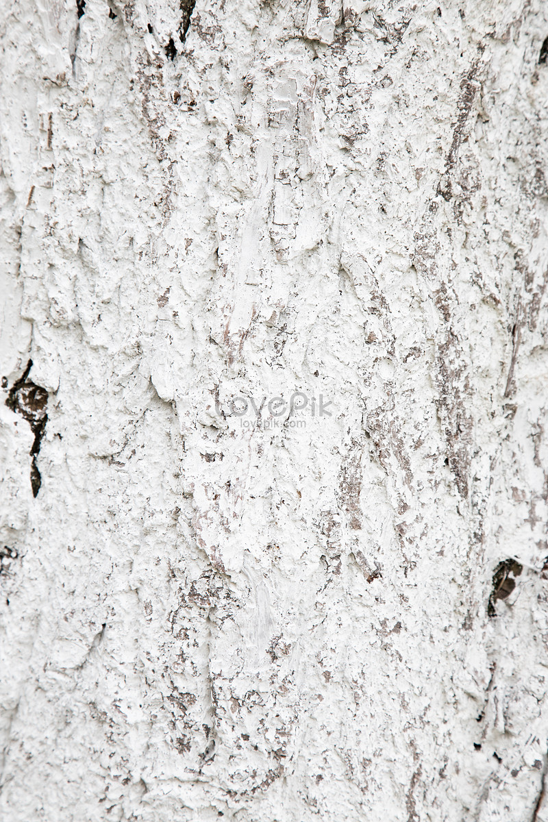 800x1200  Обои: коричневые, автомобильные шины, серая, синтетическая резина, пол, шрифт, оттенки и оттенки, протектора, рисунок, симметрия, дерево, дорожная поверхность, асфальт, трава, металл, композитный материал, темнота, углерод, прямоугольник, обои, монохромные фотографии ...