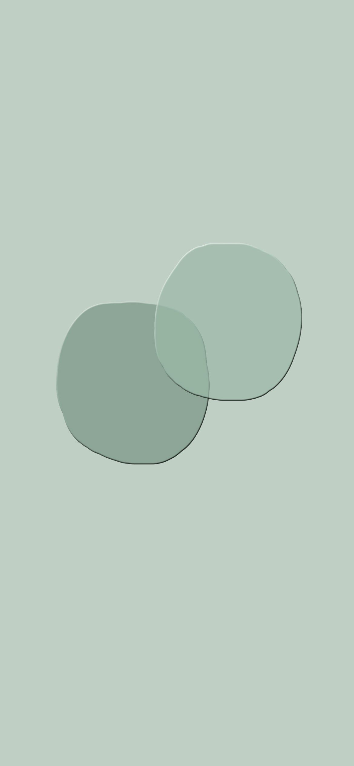 1170x2532  35 Sage Green Эстетические обои: Sage Green Paint - идея обои, обои для iPhone, цветовые схемы | Мудрец зеленая краска, зеленая эстетика, зеленая краска