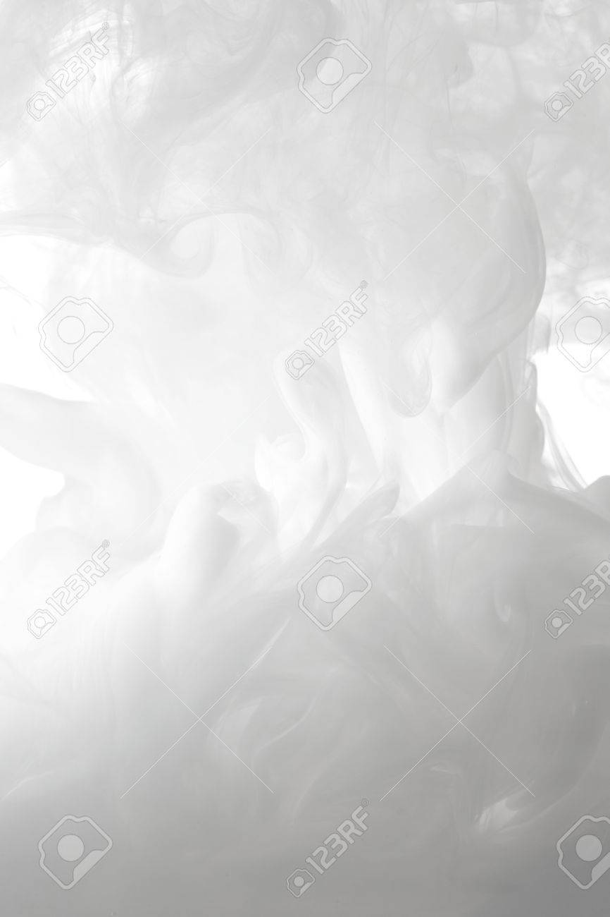 866x1300  Дом № 6 Полные цвета домашней краски и обои - Олив и Тейт