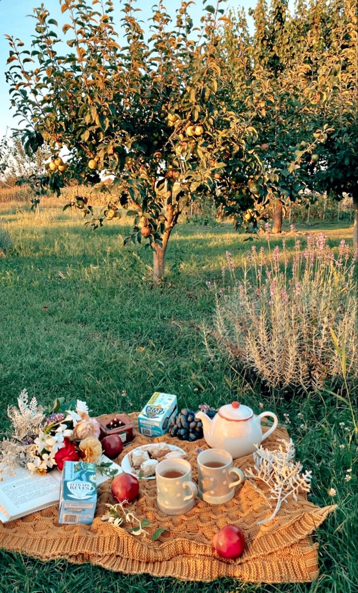 724x1200  Осень 🍂 Пикник 🧺🫖 обои🌾 | Пикник, пикник, обои