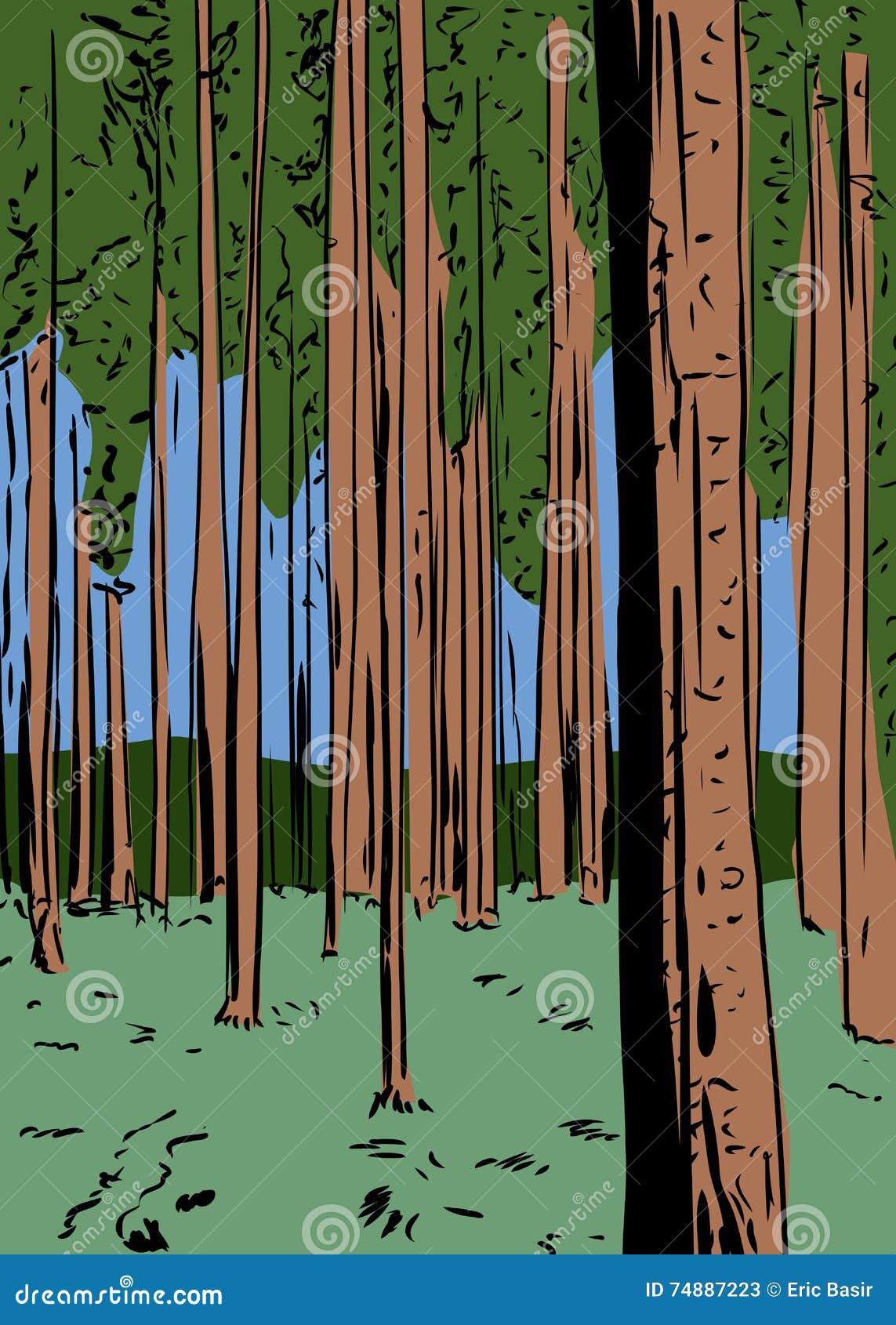 1143x1690  Таинственные пейзажи высоких деревьев, растущих в травянистом лесу в темном туманном дне, HD Телефон Обои | Пикпкс