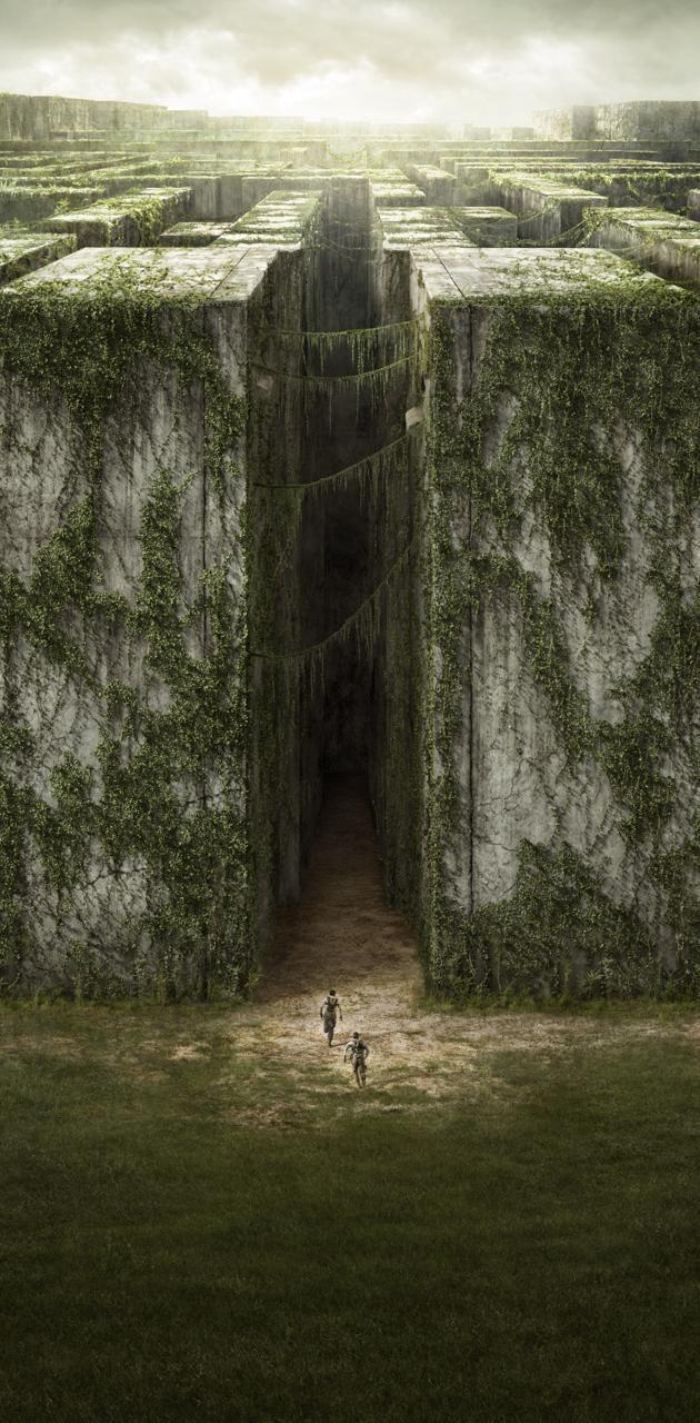 630x1280  Maze Runner HD обои | Pxfuel
