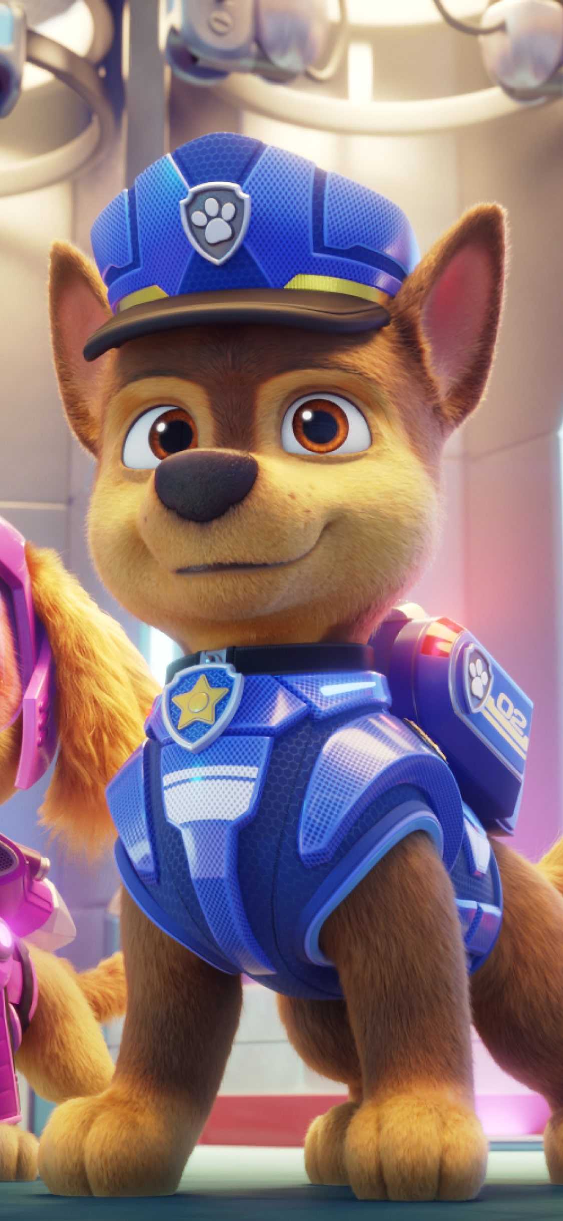 1125x2436  Paw Patrol Phone обои | Wonder Day - раскраски для детей и взрослых