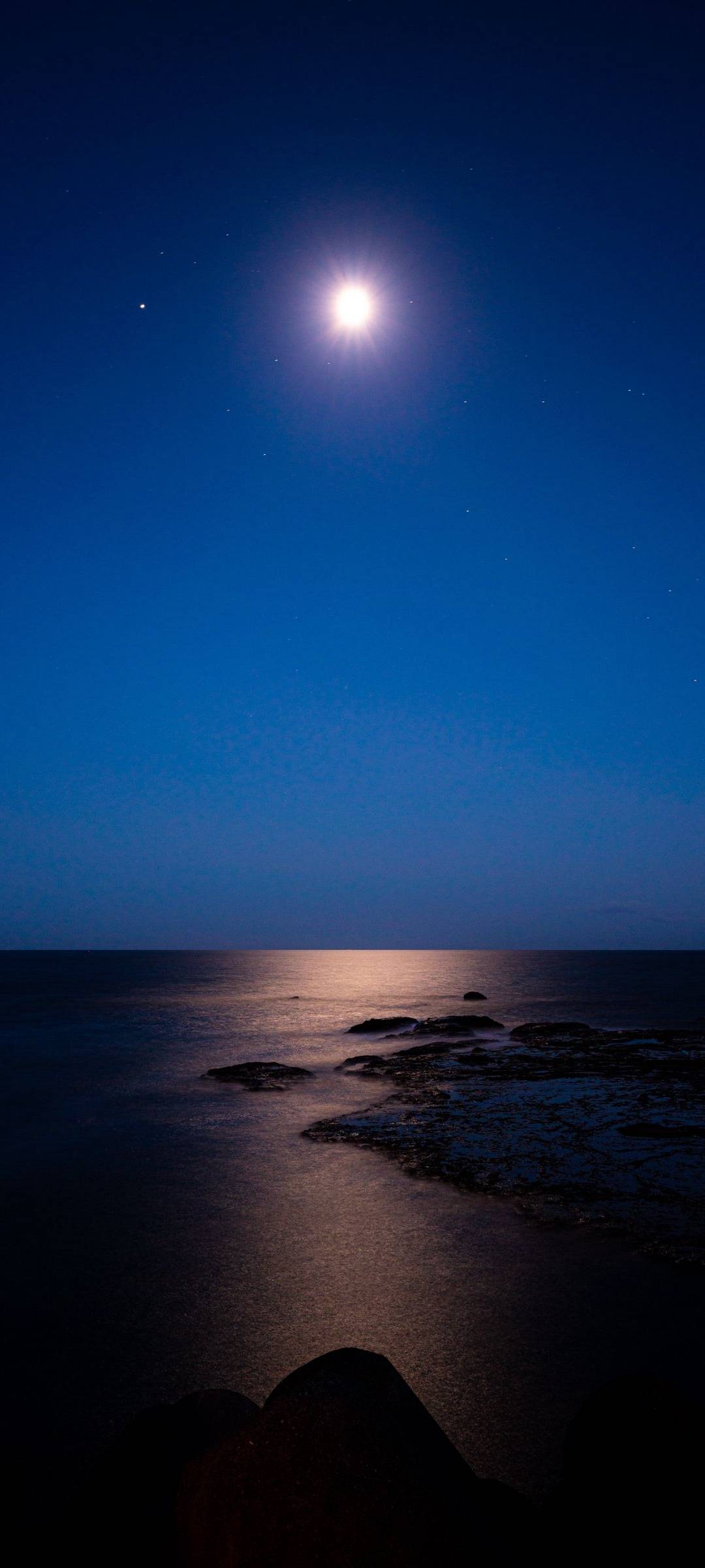 1080x2400  Синий, Луна, Вольф, HD Телефон Обои | Пикпкс