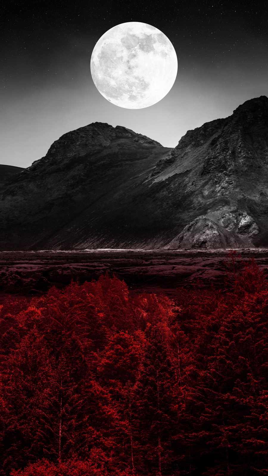 900x1600  iPhone11papers.com | iPhone11 Обои | MT70-DARK-MOON-BW-SIMPLE-Night-Natue