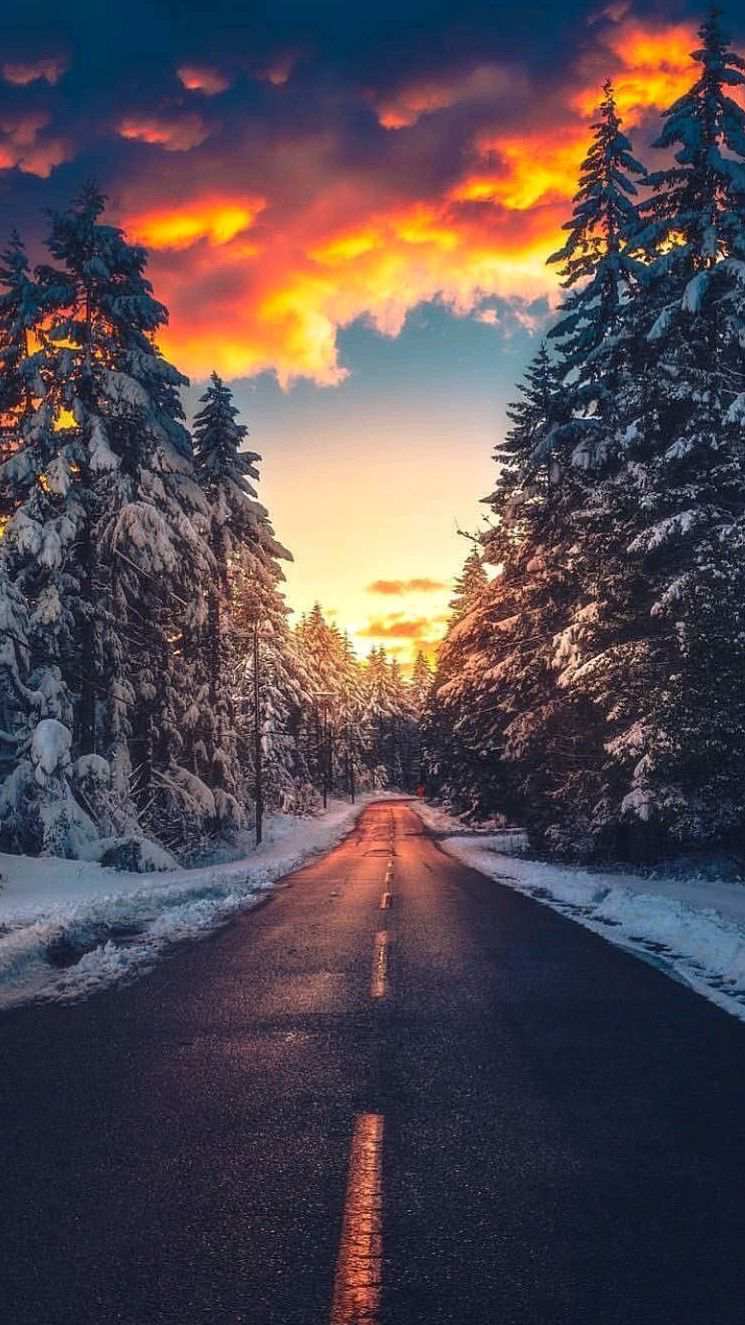 Аляска обои на телефон