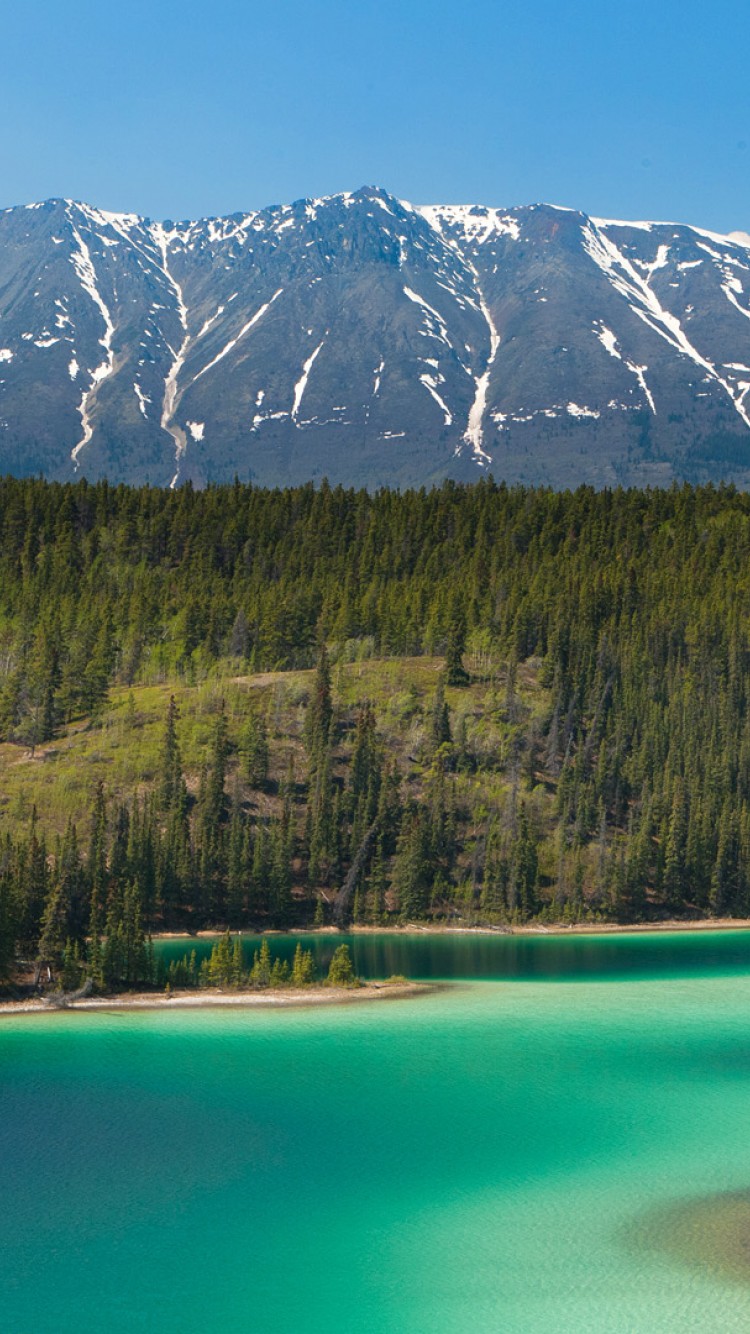 750x1334  Аляска Телефон Обои - Верх БЕСПЛАТНЫЙ ФОН АЛАСКА ТЕЛЕФОН