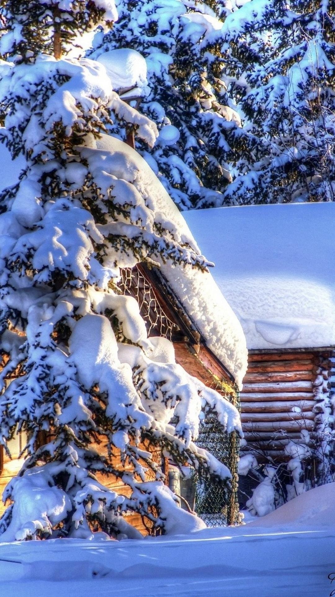 1080x1920  Северная Аляска 1080p, 2K, 4K, 5K HD Обои Скачать бесплатно | Обои