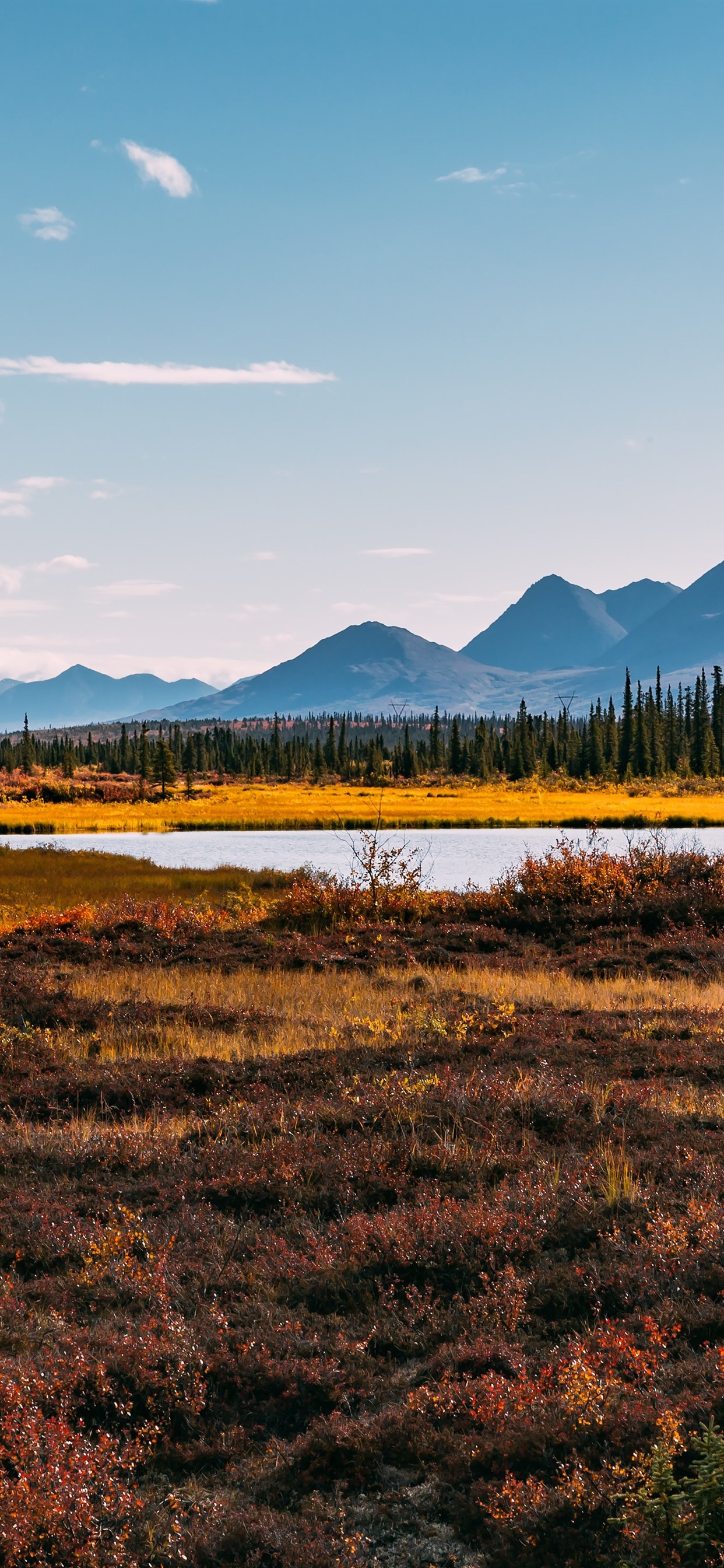 1242x2688  Скачать обои 800x1200 Аляска, горы, снег, Avalanche iPhone 4S/4 для Parallax HD фонового