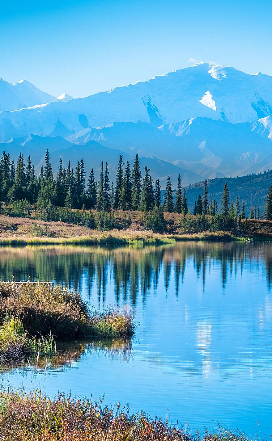 880x1428  Аляска, лес, река, снег, зима, HD Телефон Обои | Пикпкс