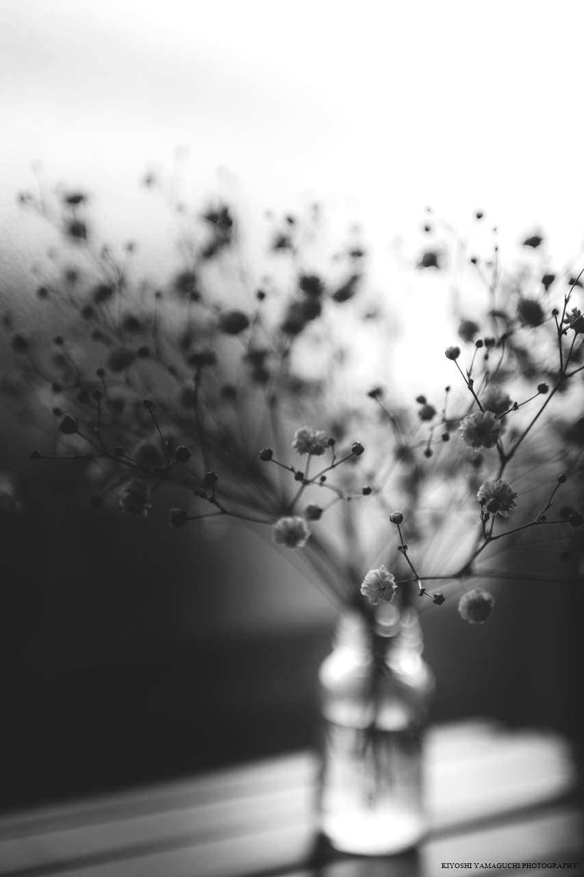 853x1280  Grupnый цveTOC - 86 Фото