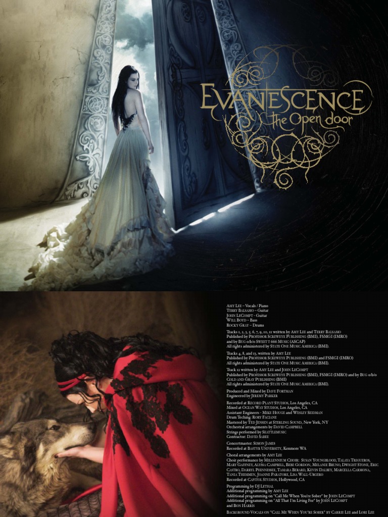 768x1024  Evanescence - Мой бессмертный #Guitar #Music #Evanescence #Rock #Metal #... | ТИК Так