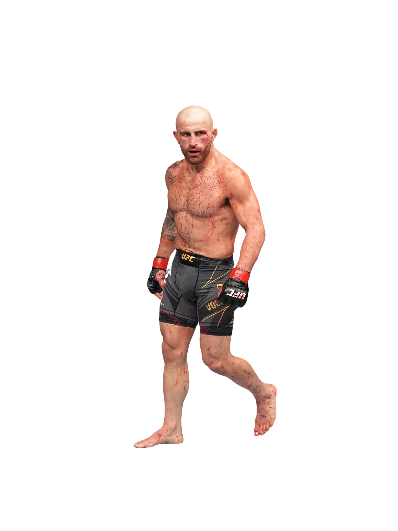 1536x2048  Александр Волкановский заставил замолчать сомневающихся своей победой на UFC 276 | Фокс СПОРТ