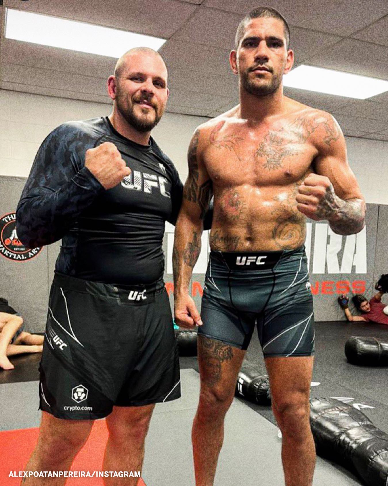 1349x1687  Вы знали? Алекс Перейра имеет происхождение патаксо, коренного племени из Бразилии, а его имя Поатан переводится как «каменные руки» : r/ufc