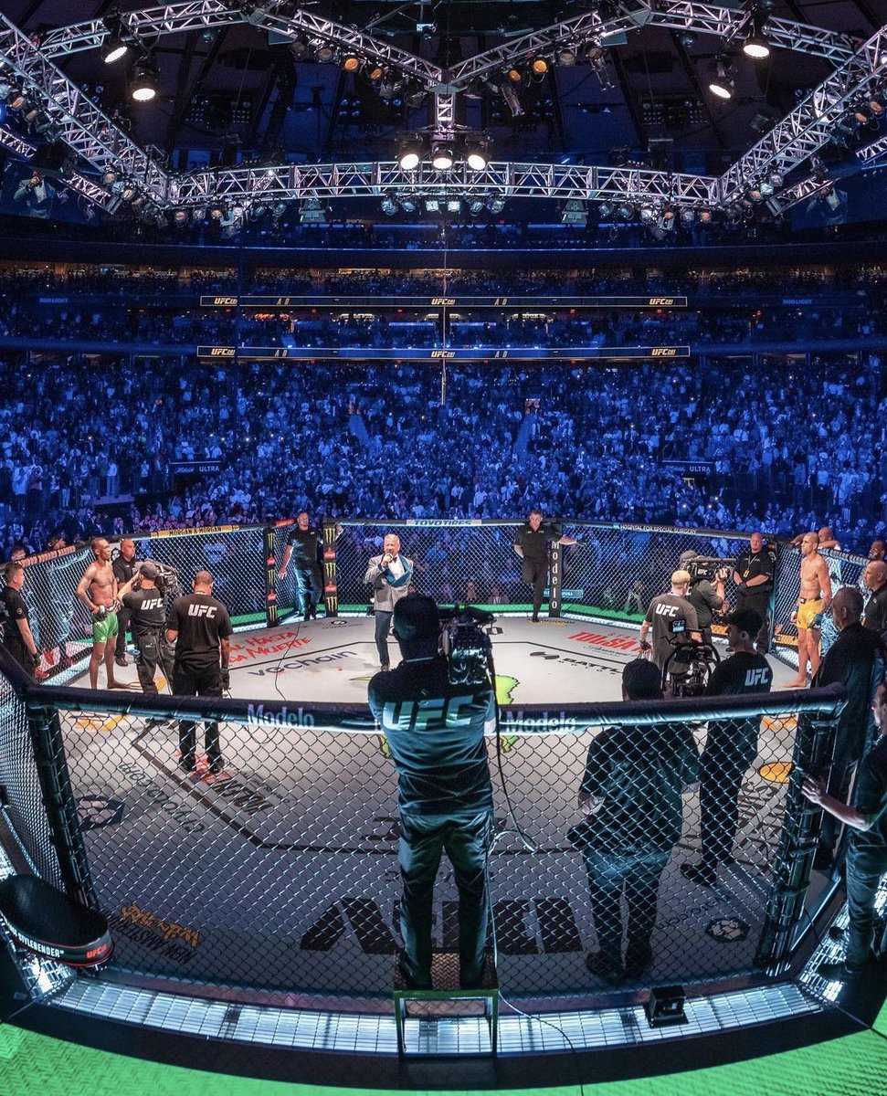 971x1200  Fight Tale в Instagram: «Алекс Перейра успешно дебютировал в полутяжелом весе. Он одержал победу раздельным решением судей над Яном Блаховичем. Как вы это забили? #UFC291 #JanBlachowicz #AlexPereira»