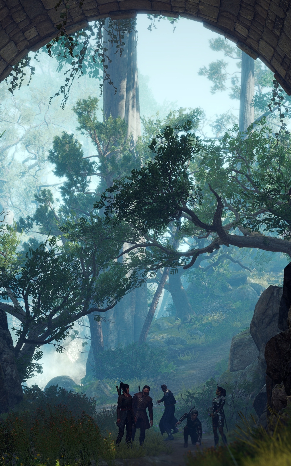 1200x1920  Baldur's Gate III 4K обои iPhone HD Phone #5741l