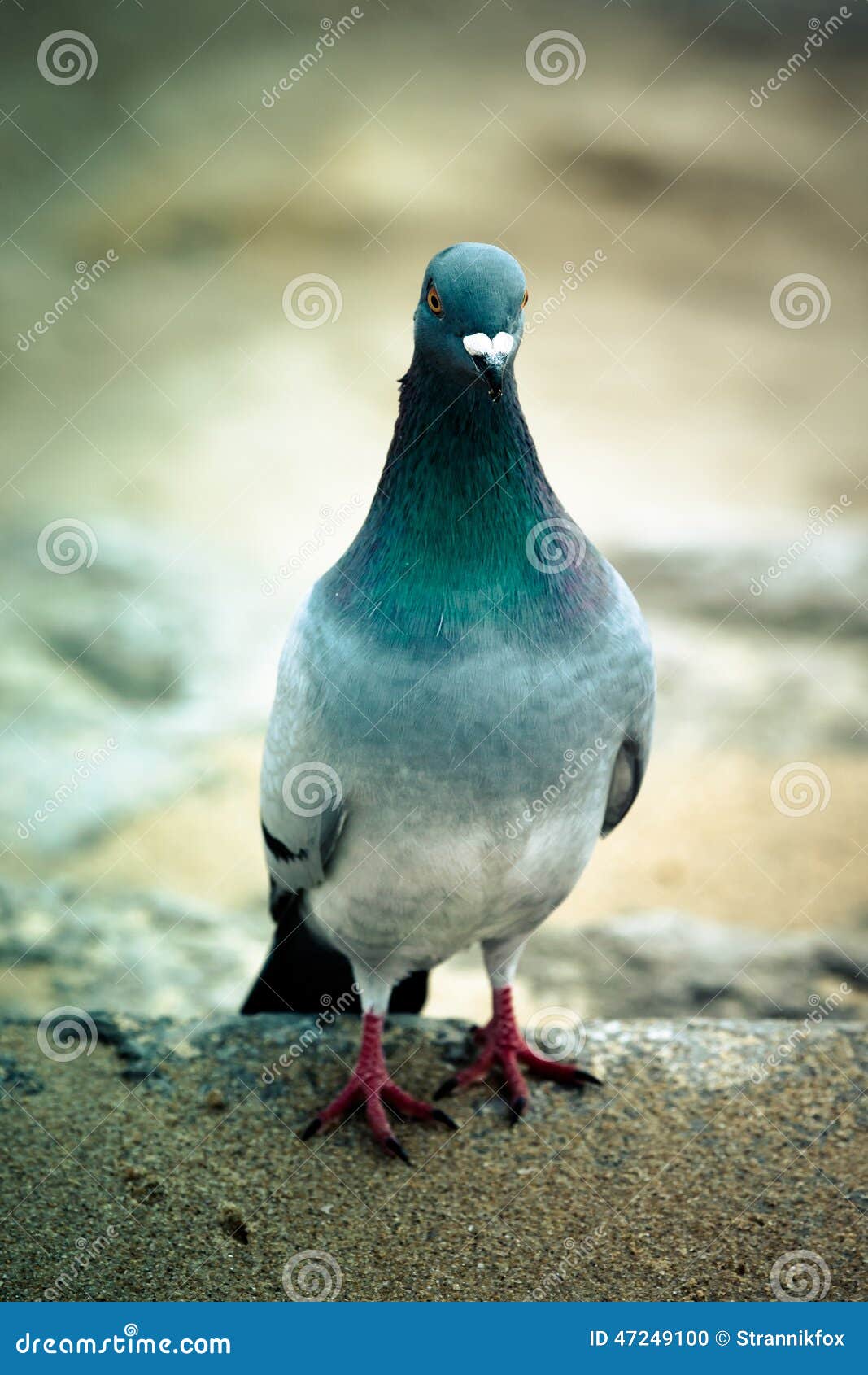 1067x1690  Концерт No Stone Unturned 2023: Повышение осведомленности о пропавших без вести и убитых женщинах и девочках из числа коренного населения в Манитобе