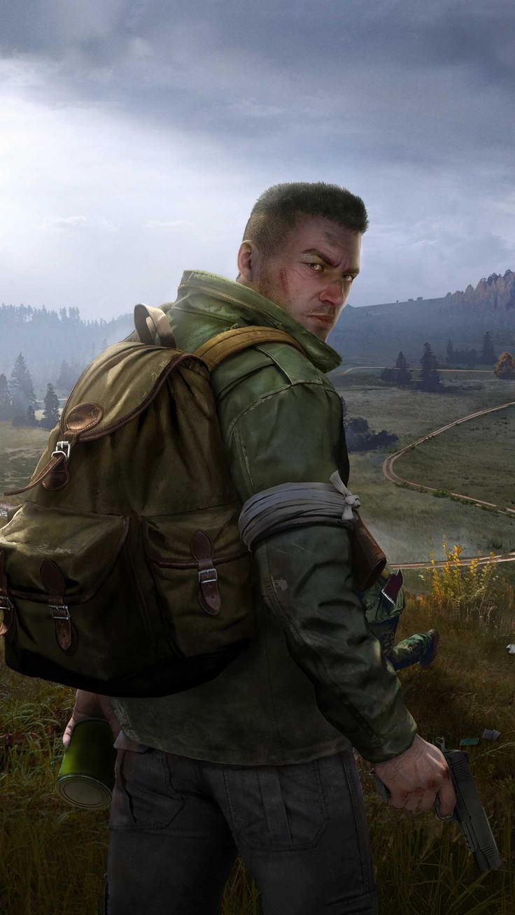 736x1308  Обои DayZ — iXpap | Обои, Шутер от третьего лица, Видео о выживании