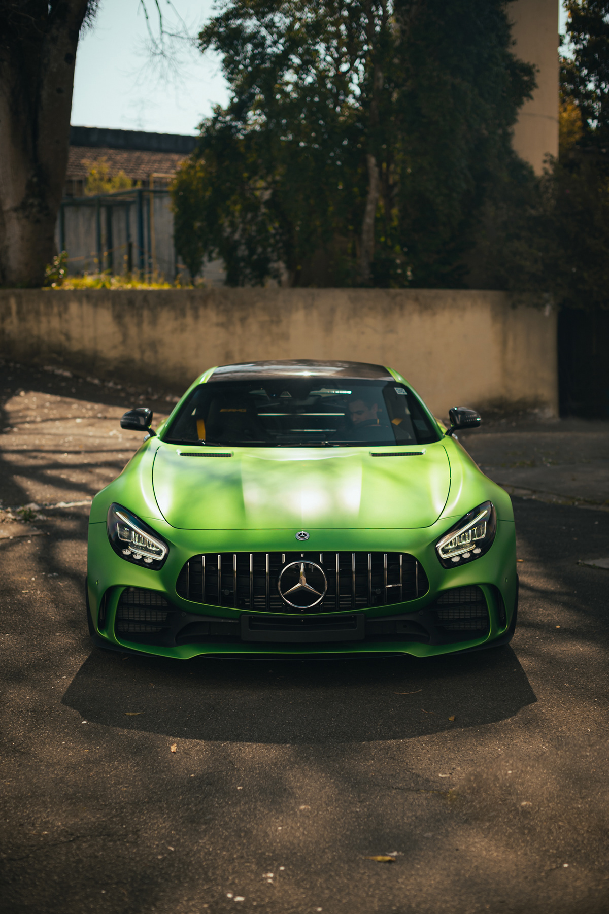 1200x1801  Green Hell Magno - AMG GTR on Behance