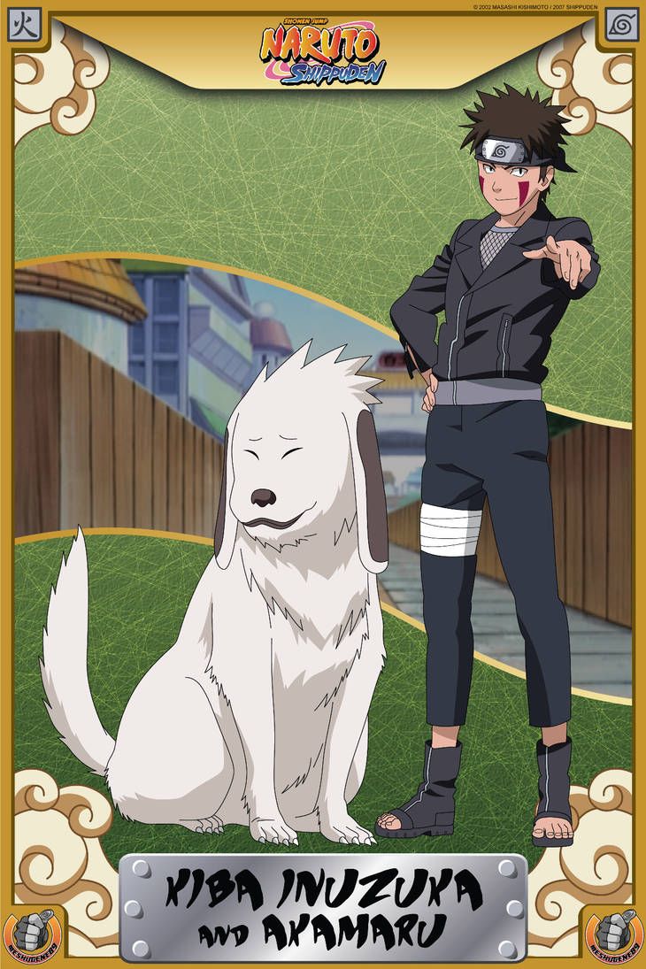 730x1095  Киба Инузука от TanLoris675, собака акамару HD обои для телефона | Pxfuel