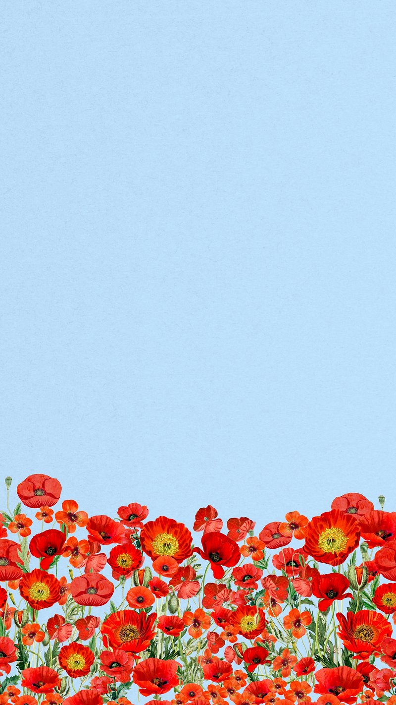 800x1422  Ручной обращается маки с синим фоном вектор | премиум-изображение от rawpixel.com #vector #vectoar… | Обои с цветочным фоном, Обои с маками и Весенний фон