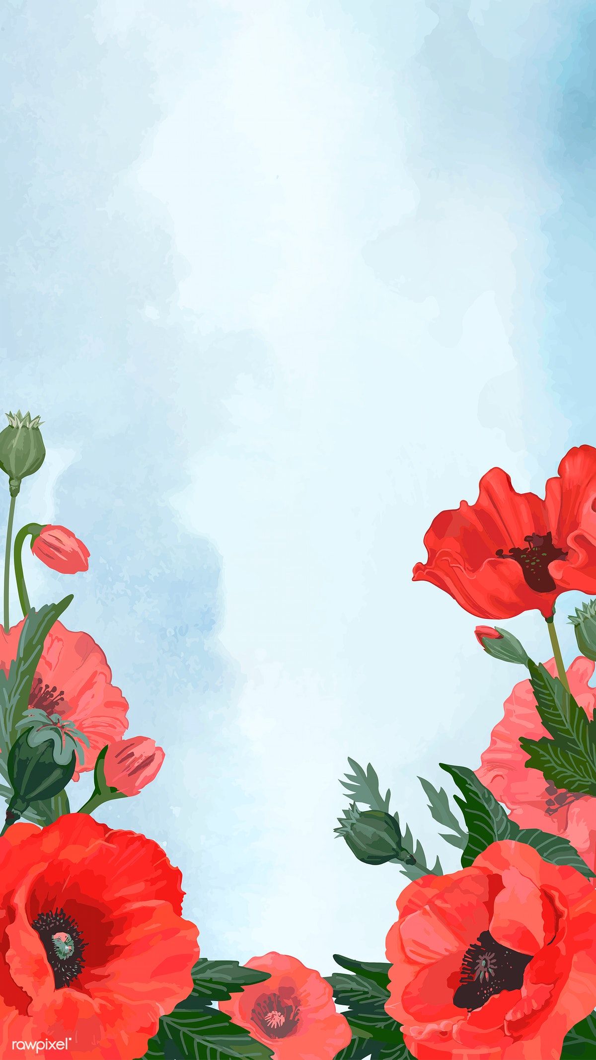 1200x2134  Маки на поляне - Обои