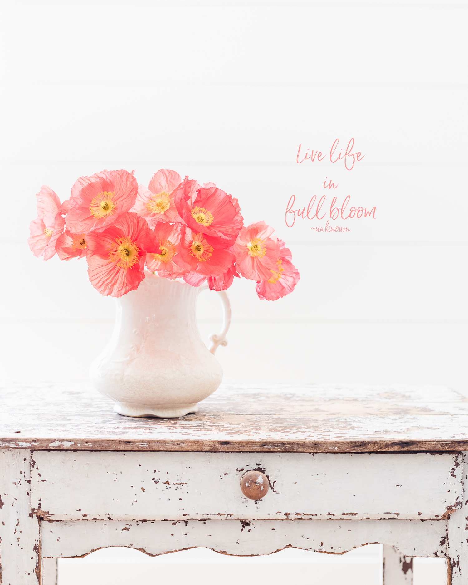 1500x1875  Скачать 938x1668 маки, красные, цветы, поле, закат обои, картинки iphone 8/7/6s/6 for parallax