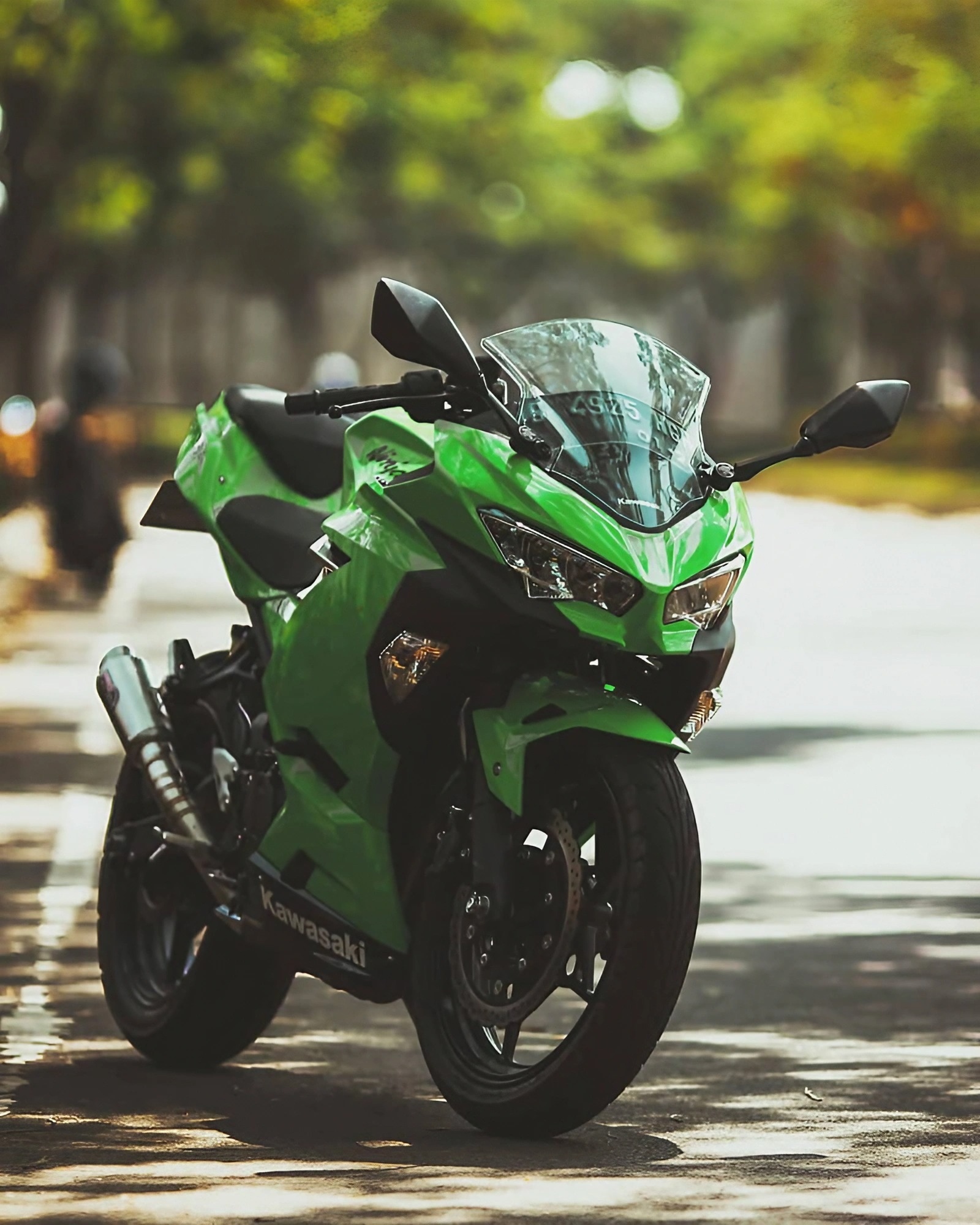 Kawasaki Ninja