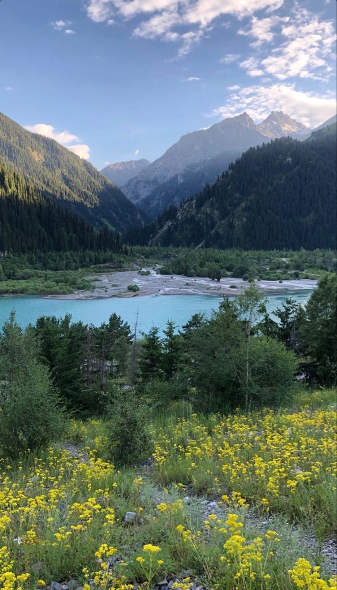 687x1200  Обои. Природа in 2023 | Natural landmarks, Nature, Landmarks